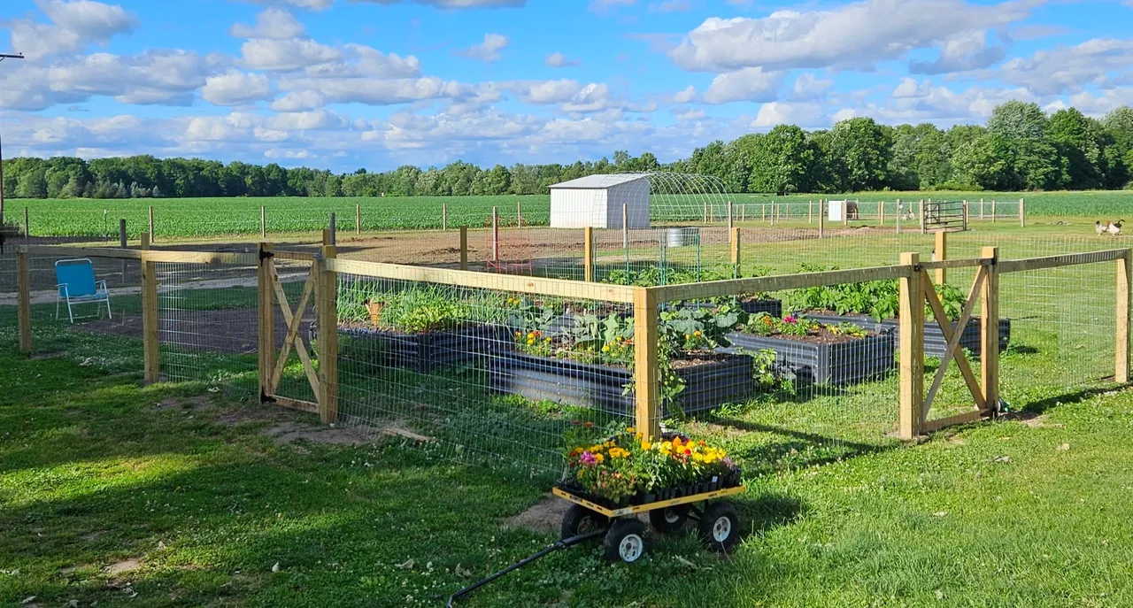 Country Life!  We built everything you see here